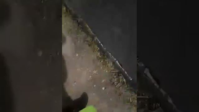 Профессиональные скейтеры рвут асфальт$ 2 смотреть онлайн