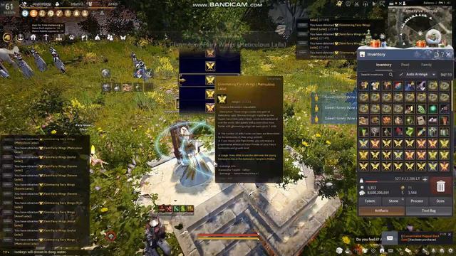 Black Desert Online | Opening 1000 Fairy Gamble смотреть онлайн