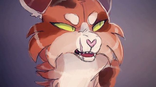 Коты воители песня "ты готов услышать нет"заказ с канала Кленовница Воительница смотреть онлайн