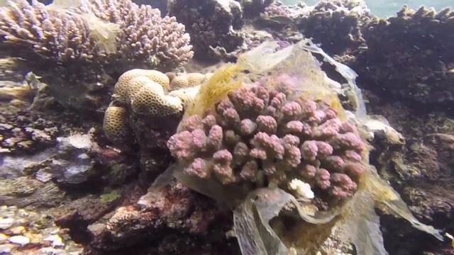 Ocean Pollution смотреть онлайн