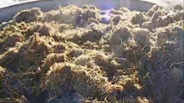 Миксер в роботі НУБіП Хмельовський В.С. смотреть онлайн