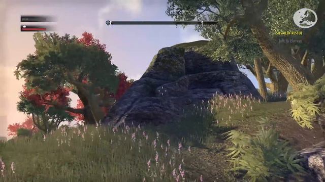 The Elder Scrolls Online - Xbox One gameplay and impressions смотреть онлайн