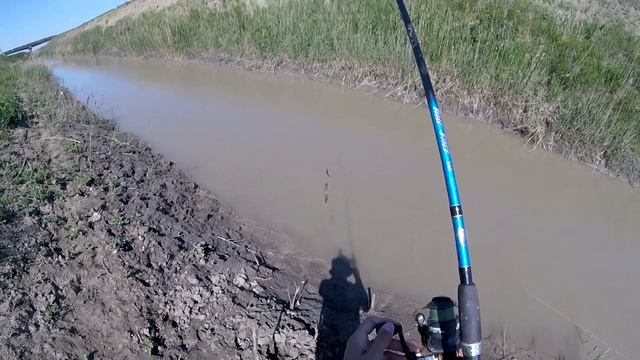 Разведка на сбросном канале,штраф рыбоохраны,Рыбалка в Чеченской Республике смотреть онлайн