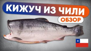Обзор КИЖУЧ из Чили. Обзор аквакультурного лосося