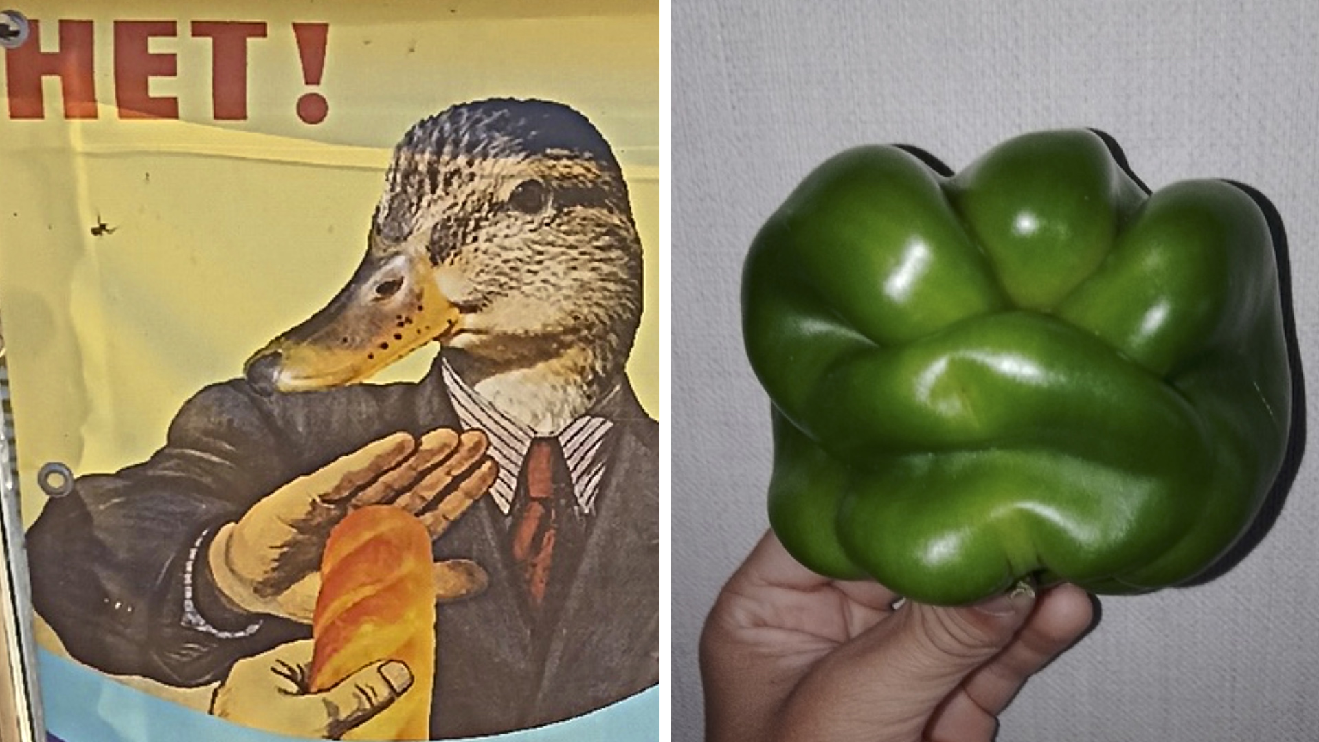 Фото подписчиков Фактории (199 часть) смотреть онлайн