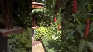 Baan VanidaResirt Gardens 3* очень хороший отель пляж Карон, Пхукет