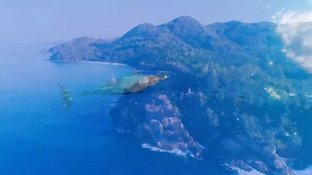 Яхтинг на Сейшельских Островах с NEREGATTA смотреть онлайн
