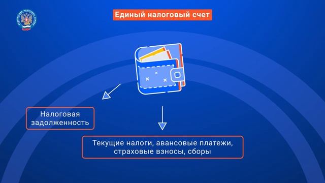 Что такое ЕНС? смотреть онлайн