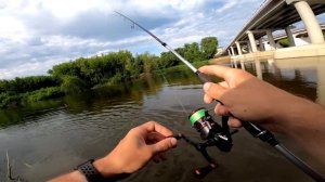 Как и где ловить голавля и жереха в начале лета | Меня накрыла голавлемания | Ловля белого хищника