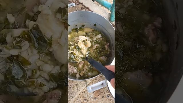 Пельмени объединяют сердца. Засахаренная виктория. Подкормка огурцов. смотреть онлайн