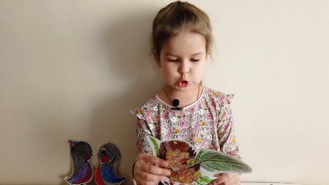 Что такое хвойный лес? смотреть онлайн