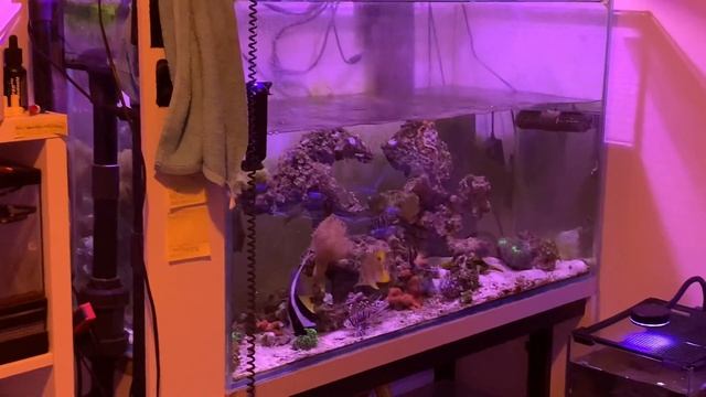 Сливаю морской аквариум