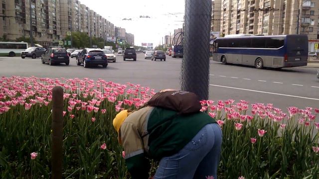 Цветы горожанам!.. спилили смотреть онлайн