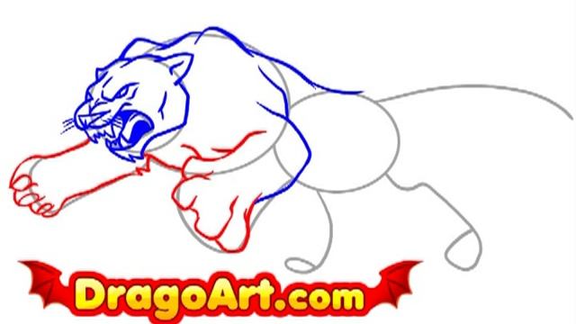 How to draw a panther, step by step смотреть онлайн