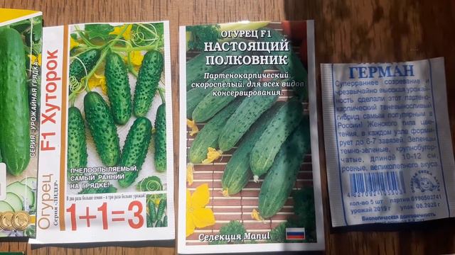 Сажаю огурцы в июле методом рассады смотреть онлайн