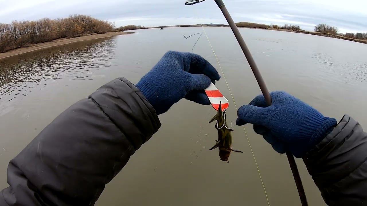 Половили щук на спиннинг смотреть онлайн