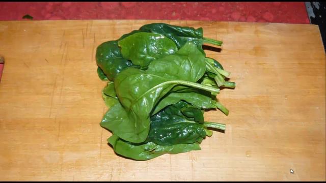 Новости для любительского кино