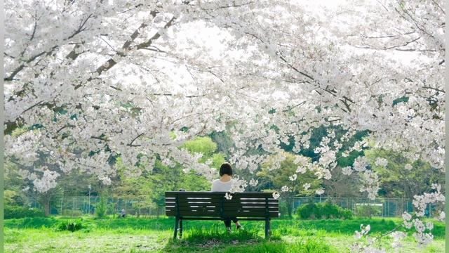 Как найти себя или что такое ИКИГАЙ? Японская притча смотреть онлайн