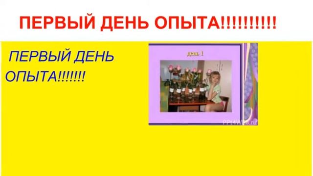 презентация на тему розы смотреть онлайн