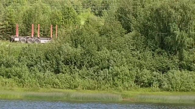 Подберезовка, пляж под Кузнечихой, Природа Подосиновского района, река Юг, июнь 2019 смотреть онлайн