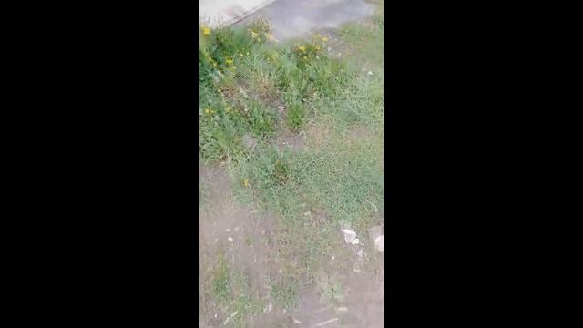 НАХОД В КАСАНИЕ смотреть онлайн