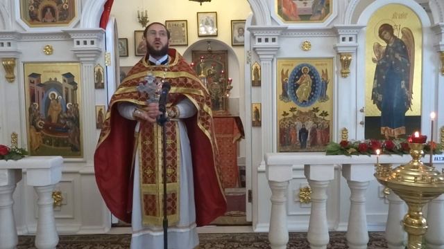 РАДОНИЦА. ПОМИНОВЕНИЕ УСОПШИХ. СВЯЩЕННИК ИОАНН ЛАЗУРЧЕНКО. смотреть онлайн