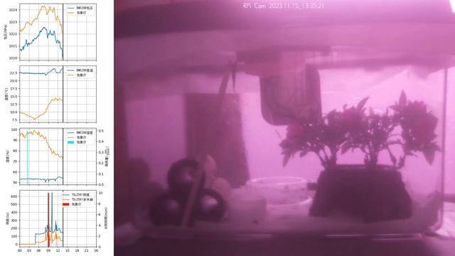 【For Work】 RPi-Cam-Web-Interfaceを使ったテスト（Timelapse）