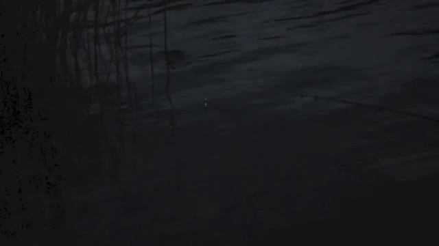 Ловим на ночной поплавок MagicFisher Сфера-25 смотреть онлайн