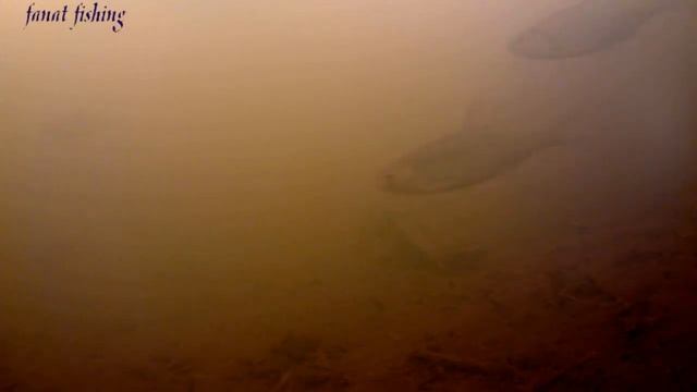 Зимняя рыбалка на чёртика. Ставим жерлицы. Подводные съёмки. Бобр. смотреть онлайн