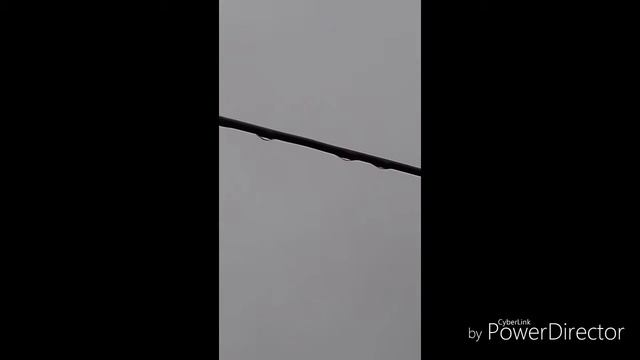 Природа после дождя смотреть онлайн