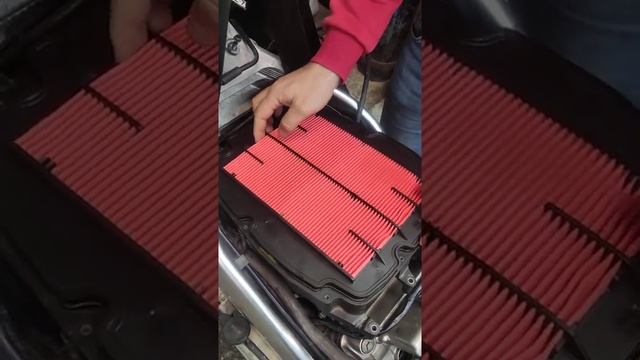 Что не так с фильтрами HifloFiltro? смотреть онлайн