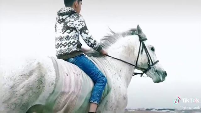 Дусти Тв 93 смотреть онлайн