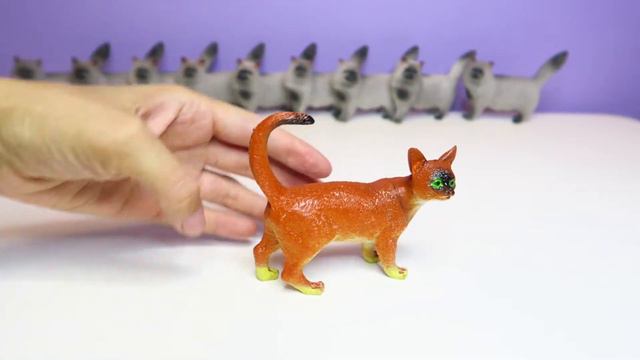 Набор животных от компании BONDIBON "Ребятам о Зверятах", фигурки кошек 4 видов | Породы кошек смотреть онлайн