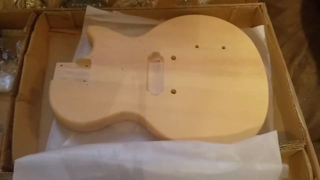 Saga les paul jr diy guitar kit unboxing. смотреть онлайн