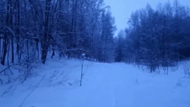 Зимние покатушки на stels 300 смотреть онлайн