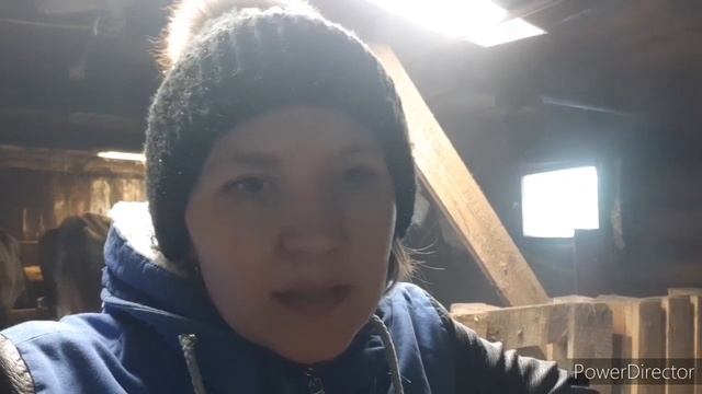 Признаки скорого отела /как определить/клетка! смотреть онлайн