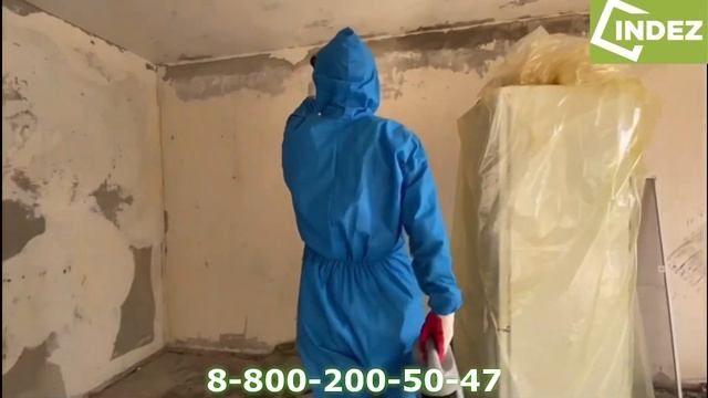 Уничтожение тараканов перед капитальным ремонтом | Борьба с тараканами с INDEZ смотреть онлайн