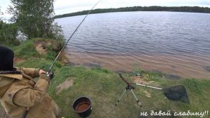 река Свирь рыбалка, лето 2020