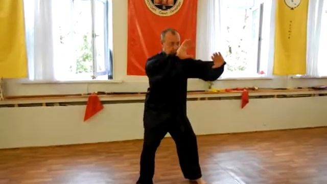 Мастер класс. Тайцзицюань стиля Чэнь. Шаг 7 формы. смотреть онлайн