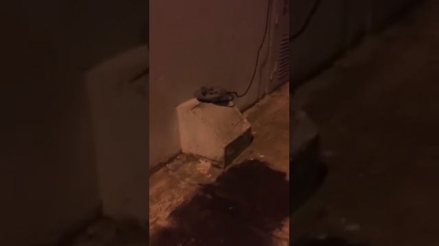 Сочи-Адлер смотреть всем смотреть онлайн