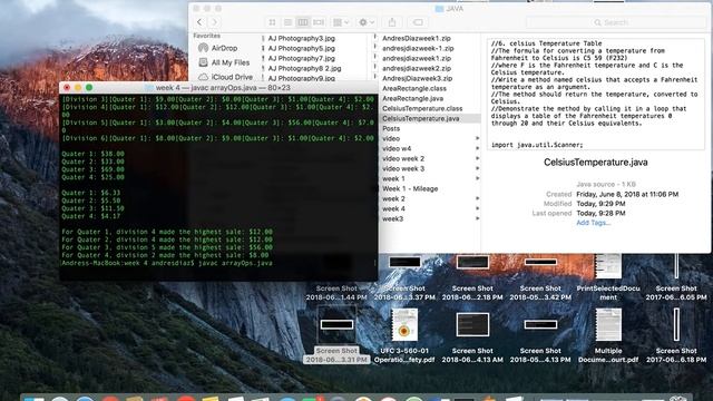Java Array Operations Program смотреть онлайн