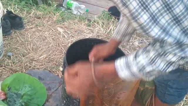 If you can catch a net of fish, the net is a lot. смотреть онлайн