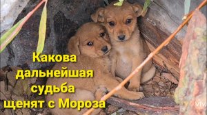 Малыши с Мороза отправились в Москву