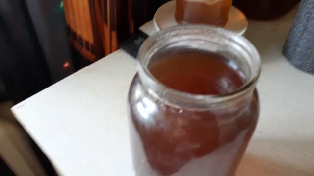 Молодой чайный гриб не опуститься на дно при делении. смотреть онлайн