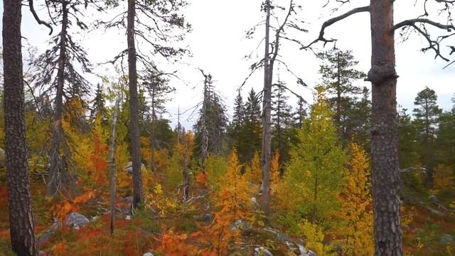 ГОРА ВОТТОВААРА. МИФЫ И РЕАЛЬНОСТЬ смотреть онлайн