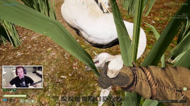 ?Icarus ➤ Обнова ➤ Свободный режим ➤ часть 2 смотреть онлайн