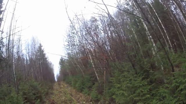 Охота на зайца 10 11 18 смотреть онлайн