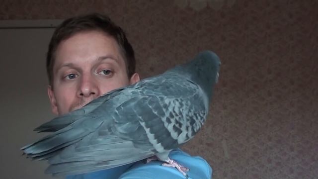 Давно не виделись, Друзья!