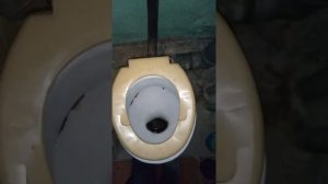 Прочистка унитаза обычным вантузом