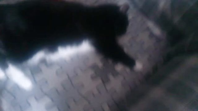 танцы маленьких детей смотреть онлайн